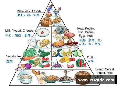 职业球员科学营养：健康饮食指南