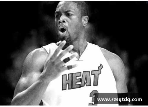 NBA明星艾琳的光辉历程与个人成就盘点