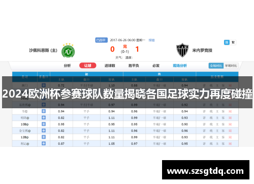 2024欧洲杯参赛球队数量揭晓各国足球实力再度碰撞
